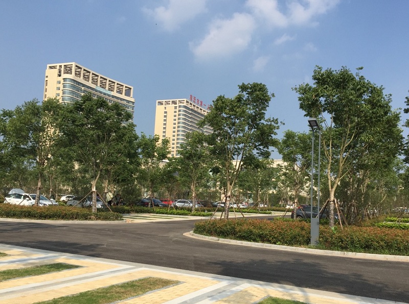 168极速赛车官方开奖历史