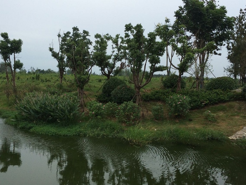 168极速赛车官方开奖历史