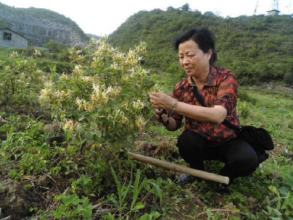 168极速赛车官方开奖历史