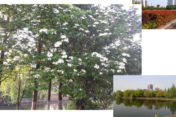 168极速赛车官方开奖历史