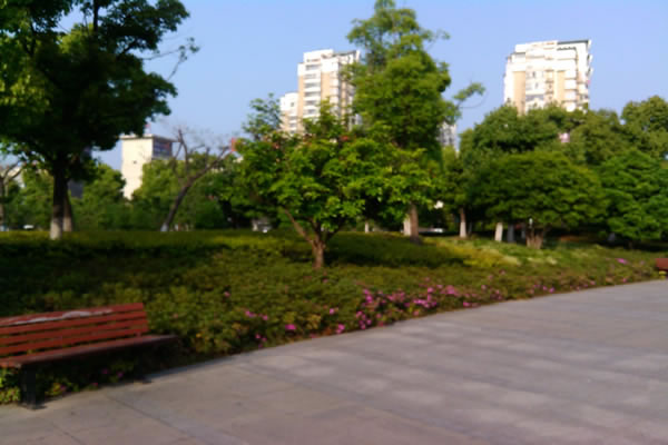 168极速赛车官方开奖历史