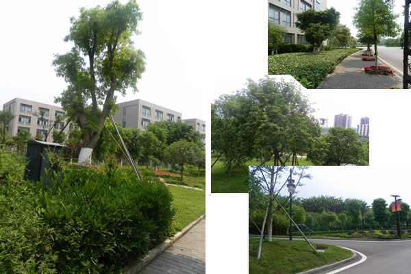 168极速赛车官方开奖历史