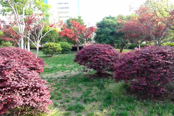 168极速赛车官方开奖历史