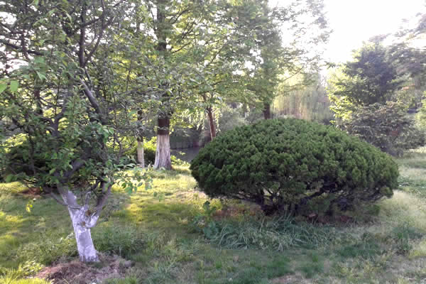 168极速赛车官方开奖历史