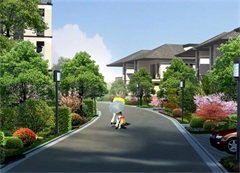 道路两侧 拷贝.jpg